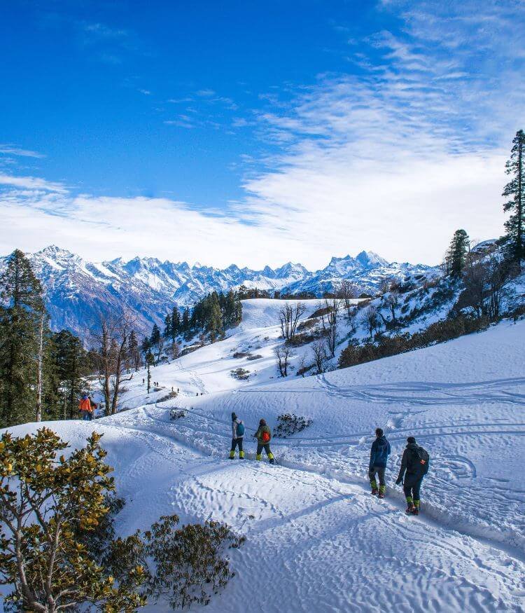 Manali-Himachal Pradesh